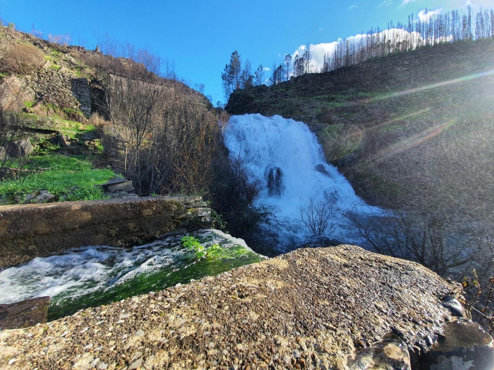 Quinta Dos Avos Lourenco Sertã Buitenkant foto