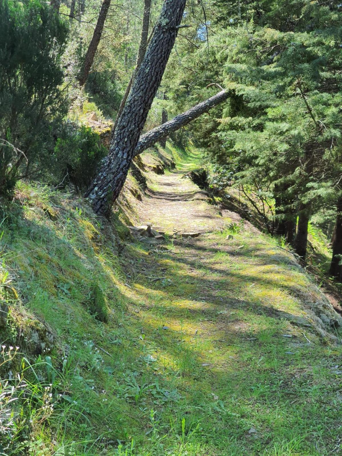 Quinta Dos Avos Lourenco Sertã Buitenkant foto