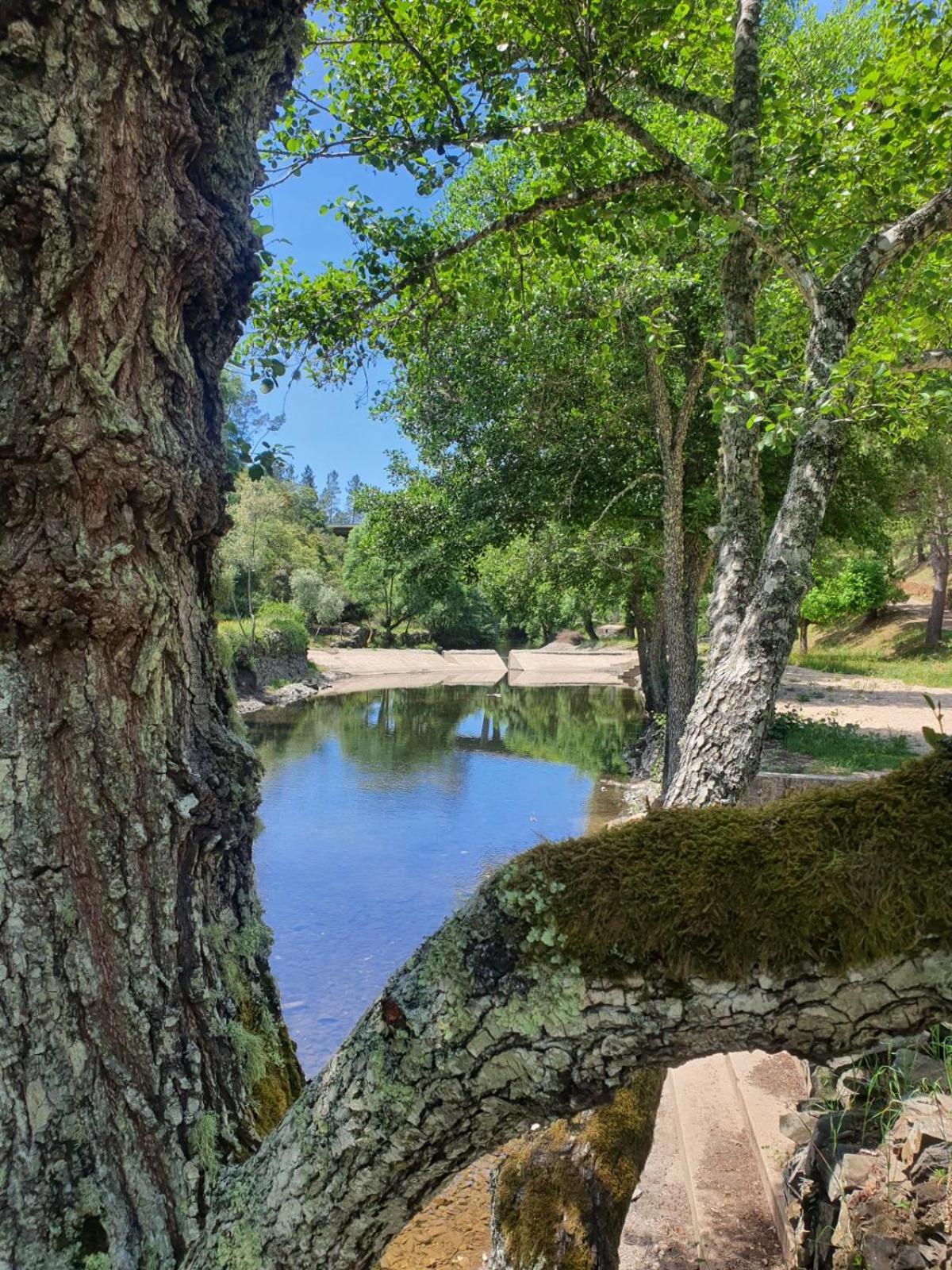 Quinta Dos Avos Lourenco Sertã Buitenkant foto